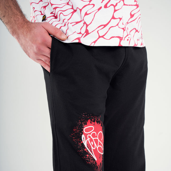 set summer  T-SHIRT+Pants
