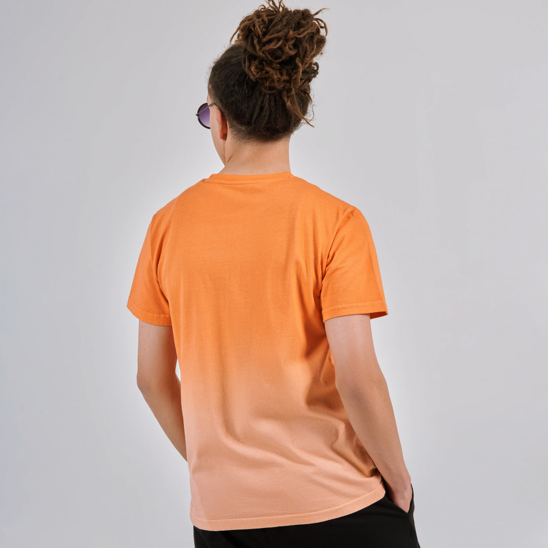 set summer T-SHIRT+Pants